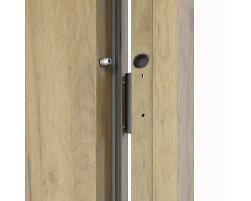 Detail interiérových dveří s kováním