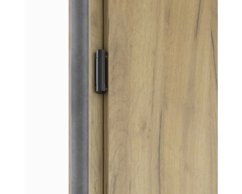 Detail dveří s pantem