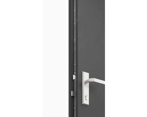 Detailní pohled na dveře s kováním a zamykacím mechanismem