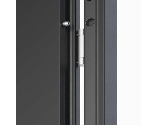 Detail dveří s dveřním závěsem