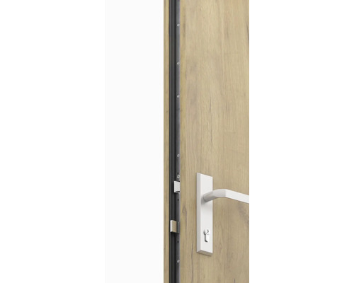 Detail interiérových dveří s kováním a těsnicím profilem