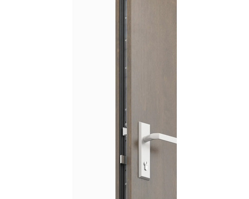 Dveře s kováním a těsnicím profilem