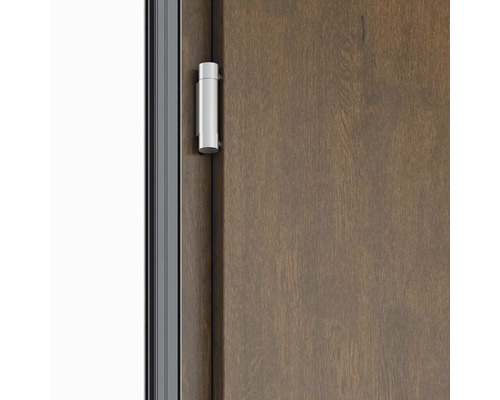 Dveře s dveřním závěsem