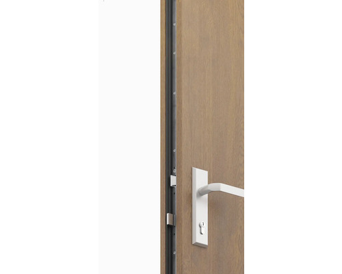 Detail interiérových dveří s kováním a protiplechem