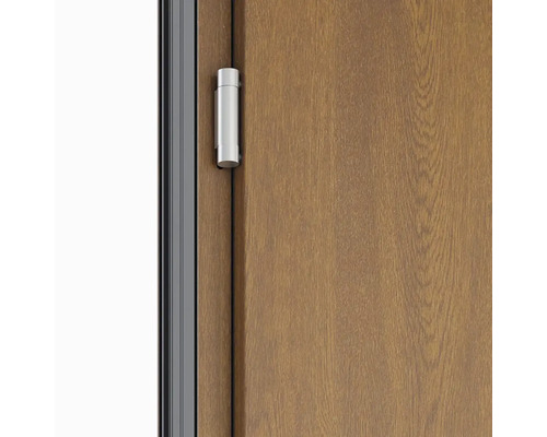 Detail dveří s pantem