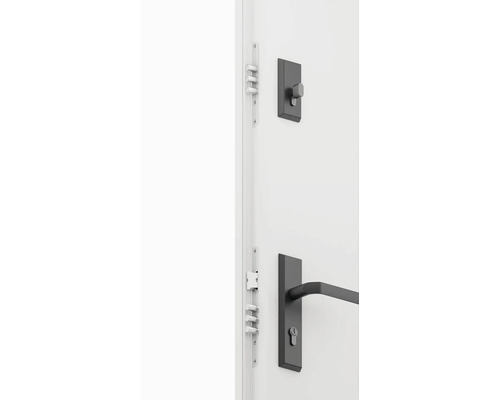 Dveře s kováním a vícebodovým zamykáním