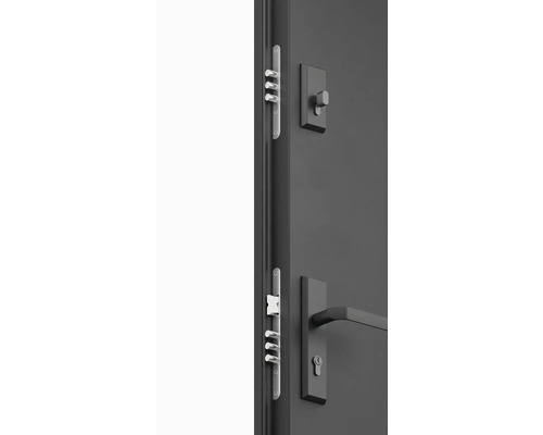 Detail dveří s vícebodovým zámkem a klikou