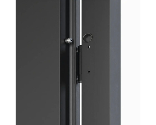 Detail dveří se zámkem a pantem