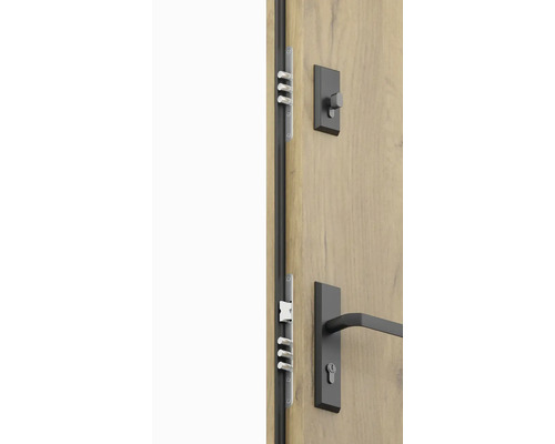 Detailní záběr vchodových dveří se zámkem a kováním