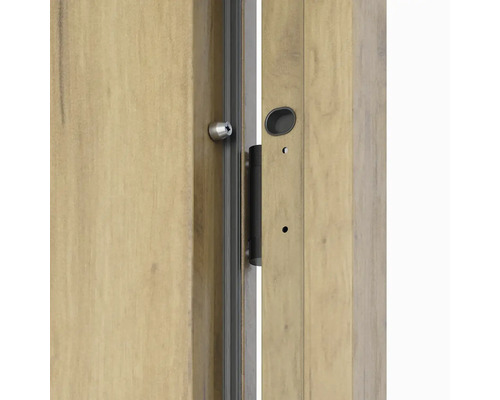 Detail dřevěných dveří s kováním a zámkem