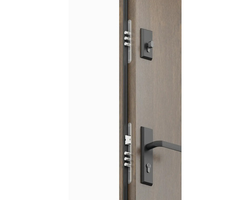 Detailní pohled na dveře odolné proti vloupání se zámkem a kováním