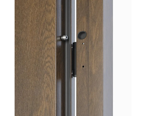 Detail dveří se zámkem a kováním