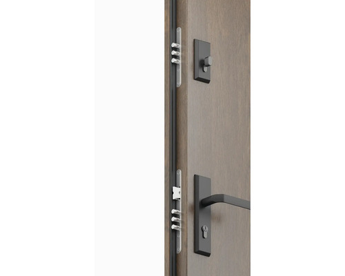 Detailní pohled na vchodové dveře s vícebodovým zamykáním a kováním