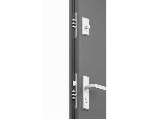 Detail dveří s vícebodovým zamykáním, klikou a zámkem