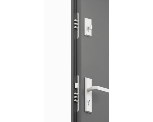 Dveře s vícebodovým zamykáním, klika a otočný knoflík