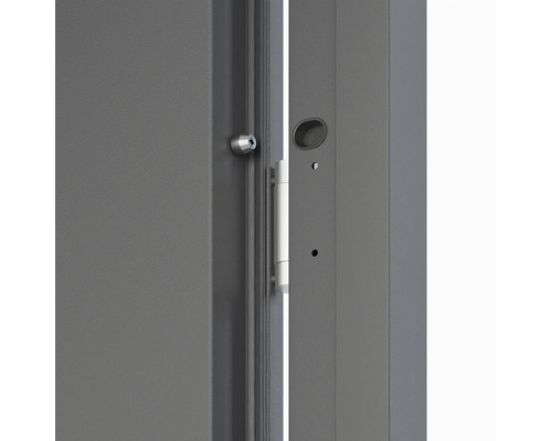 Detail dveří se zámkem a kováním