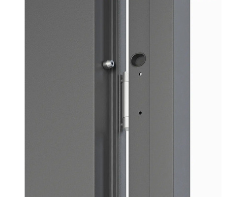 Detail dveří se zámkovou vložkou a kováním