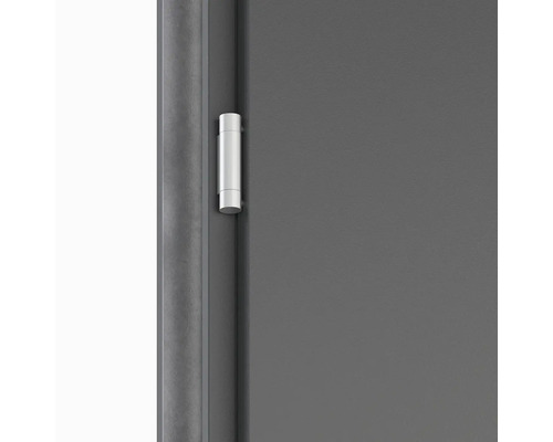 Detail dveří s pantem