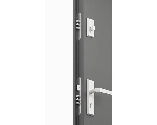 Detail dveří s vícebodovým zámkem a klikou