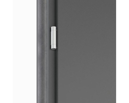 Detail dveří s dveřním závěsem