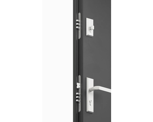 Detailní záběr bezpečnostních dveří s vícebodovým zamykáním a klikou