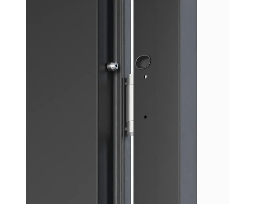 Detail bezpečnostních dveří se zámkem a závěsem