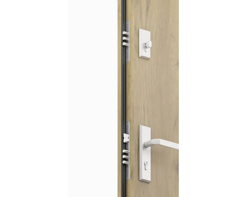 Dveře s vícebodovým zámkem a dveřním kováním