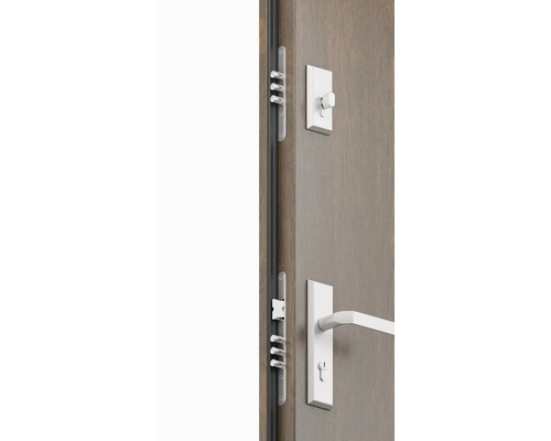 Dveře s vícebodovým zamykáním a dveřním kováním