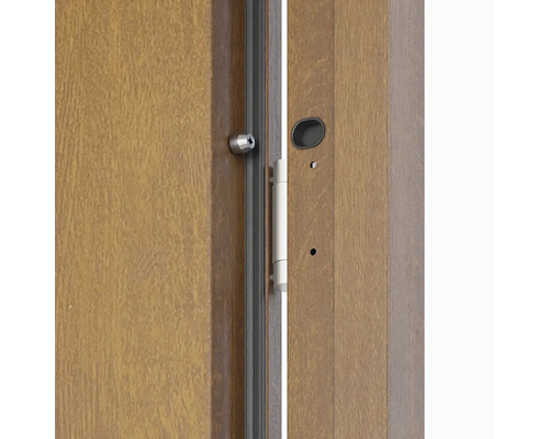 Detail dveří s kováním