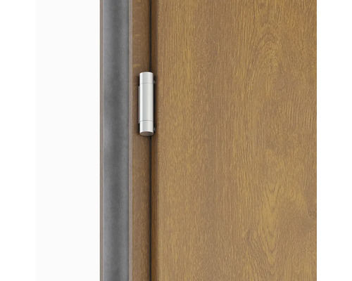 Detail dveří s kováním