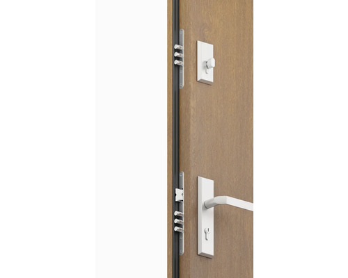 Dveře s vícebodovým zamykáním a kováním