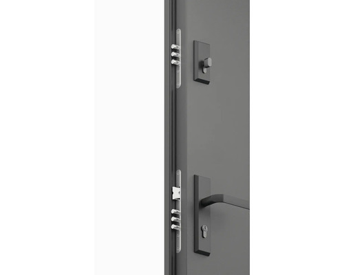 Detailní pohled na dveře s vícebodovým zamykáním a sadou klik