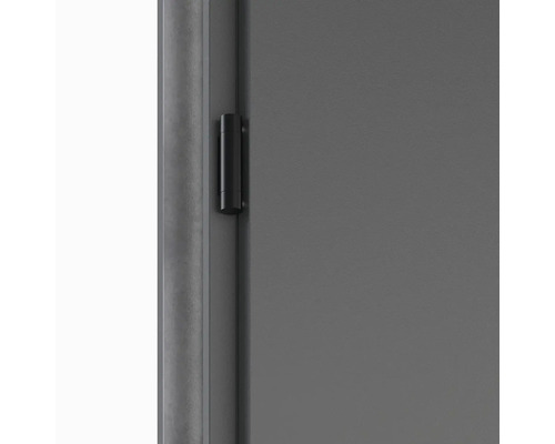 Detail dveří s pantem