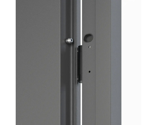 Detail dveří se závěsem a šroubem