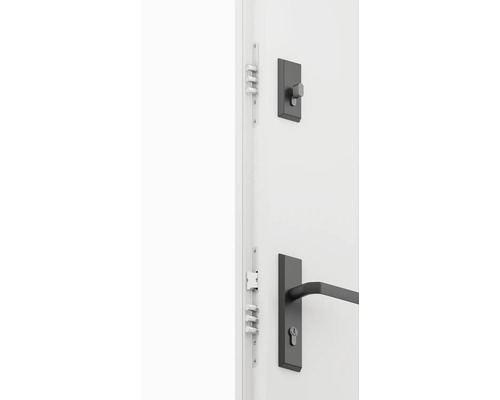 Dveře s bezpečnostním zámkem a klikou