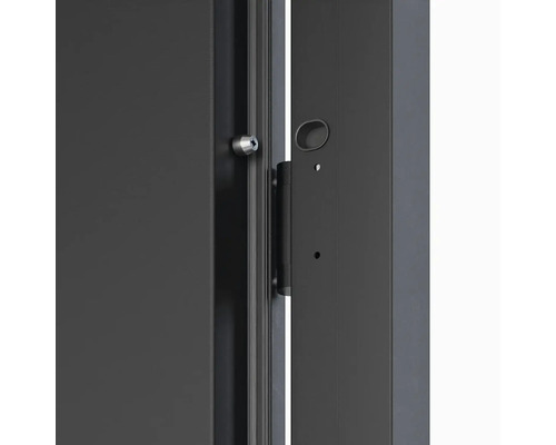 Detail dveří s kováním a zámkem