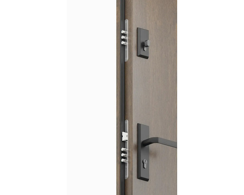 Dveře s vícebodovým zamykáním a dveřním kováním