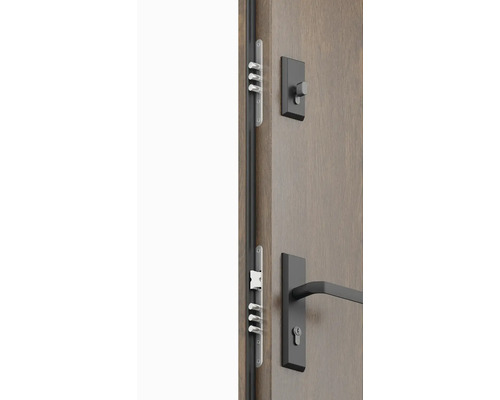 Detailní pohled na vchodové dveře s vícebodovým zamykáním a kováním