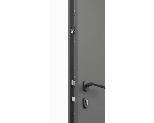 Detailní pohled na bezpečnostní dveře s vícebodovým zamykáním a klikou