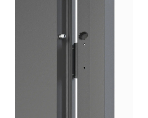 Detailní pohled na dveře se zámkem, dveřním závěsem a kováním