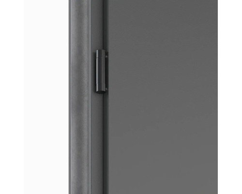 Detail dveří s kováním