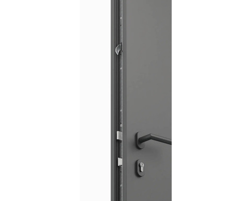 Detailní pohled na vchodové dveře s vícebodovým zamykáním, klikou a cylindrickou vložkou