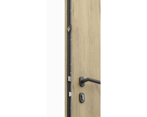 Detail dřevěných dveří se zámkem a kováním