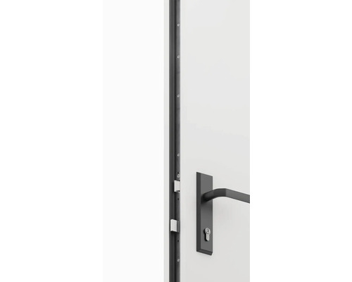 Detail dveří s kováním a zámkem