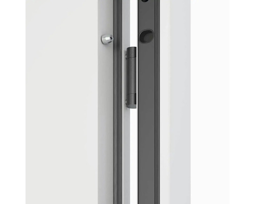 Detail dveří se závěsem