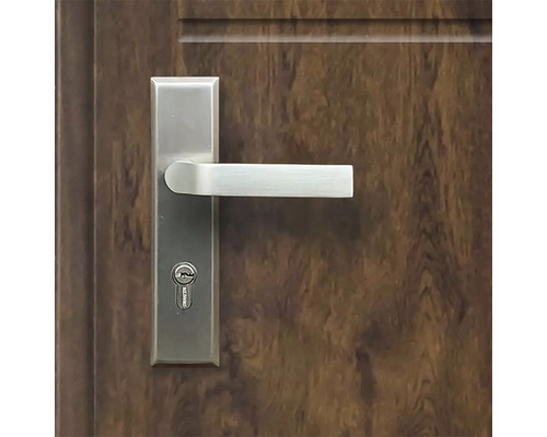 Dveře s kováním a klíčem