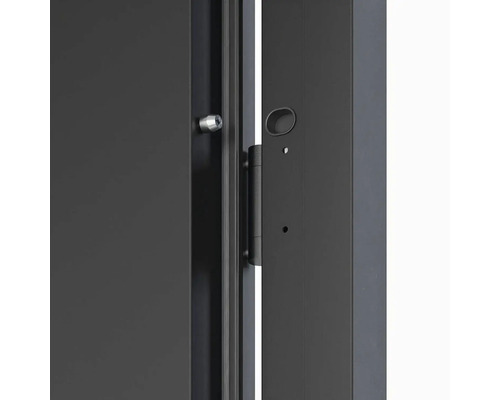 Detailní pohled na šedé dveře s kováním a panty