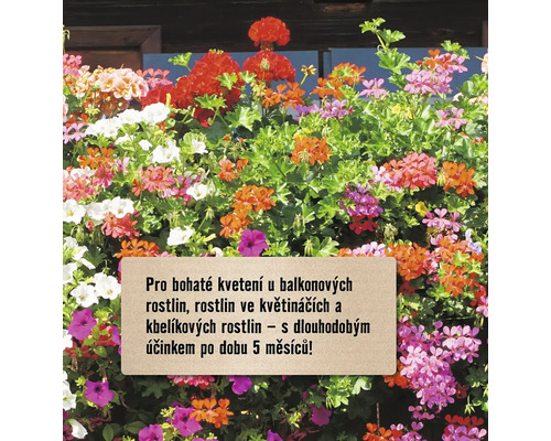 Kvetoucí balkónové rostliny v truhlíku.