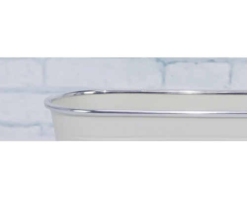 Detailní záběr bílé květinové misky se stříbrným okrajem