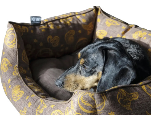 Pes leží v psí posteli